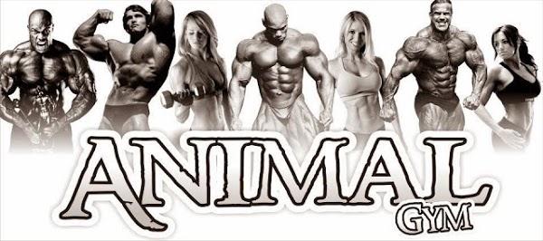 Imagen 81 ANIMAL GYM foto
