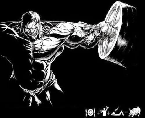 Imagen 83 ANIMAL GYM foto
