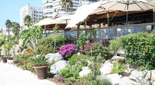 Imagen 41 Casa Avelino foto