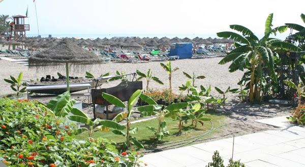 Imagen 51 Casa Avelino foto