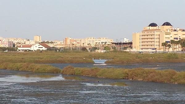 Imagen 31 Parque Natural Salinas de Santa Pola foto