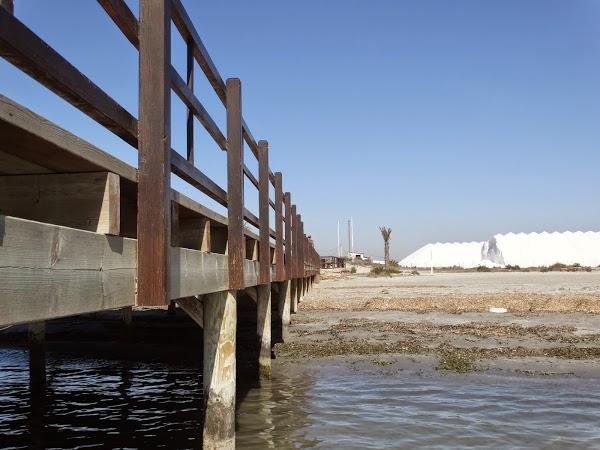 Imagen 35 Parque Natural Salinas de Santa Pola foto
