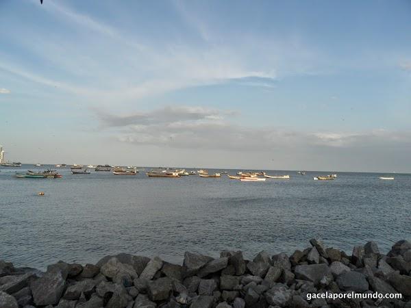 Imagen 18 Centre Mon Salut foto