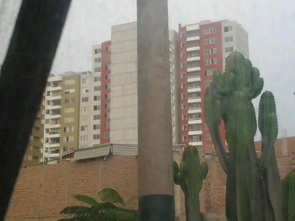 Imagen 6 olorAMAR Taller de Arte foto