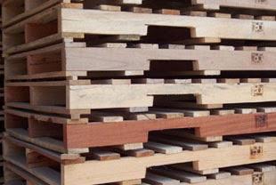 Imagen 2 detalles agxiant foto