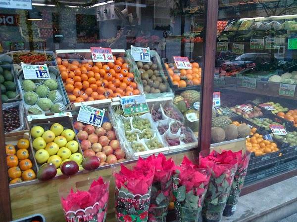 Imagen 4 Dr. Mayer Immobilien Teneriffa S. L. foto