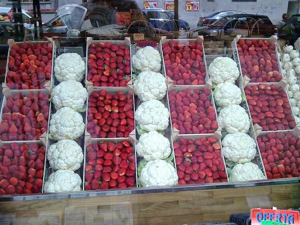 Imagen 9 Dr. Mayer Immobilien Teneriffa S. L. foto