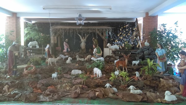 Imagen 98 Colegio Josefina Camarena foto