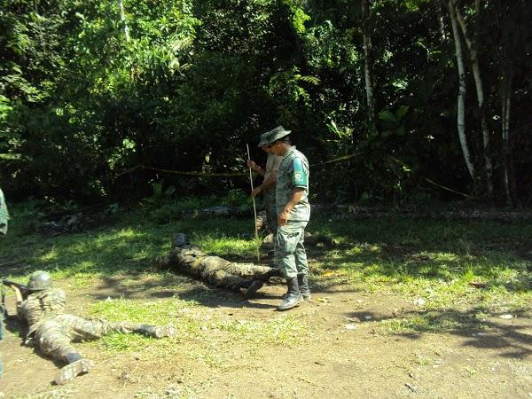 Imagen 6 Simelec foto