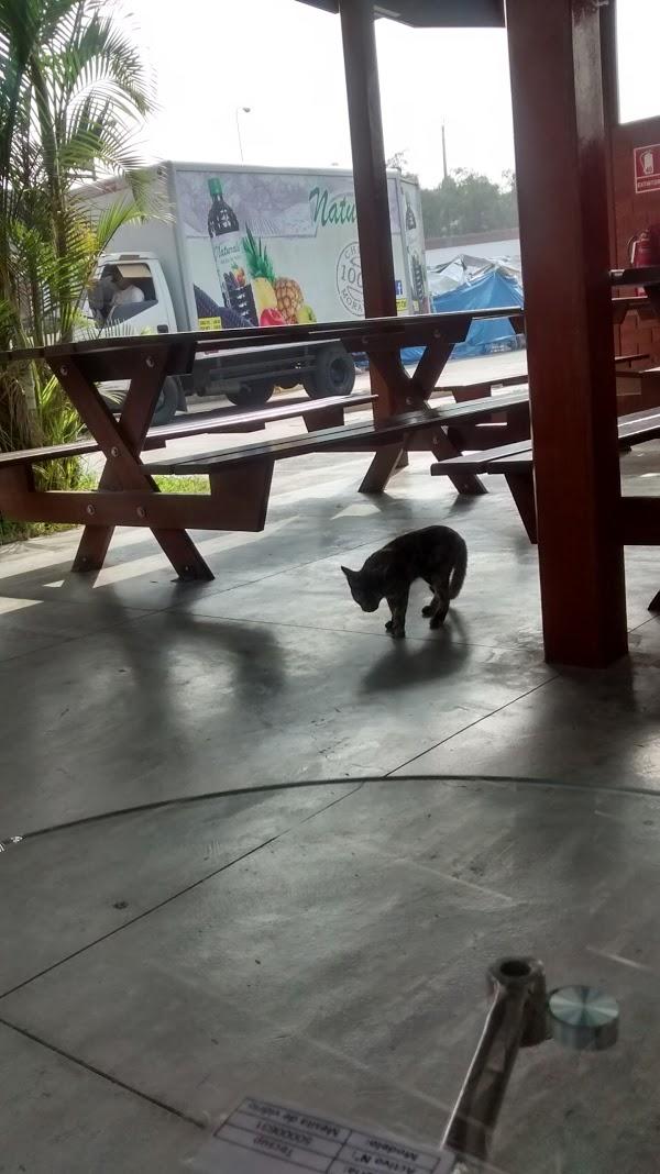 Imagen 11 La Cristalera foto