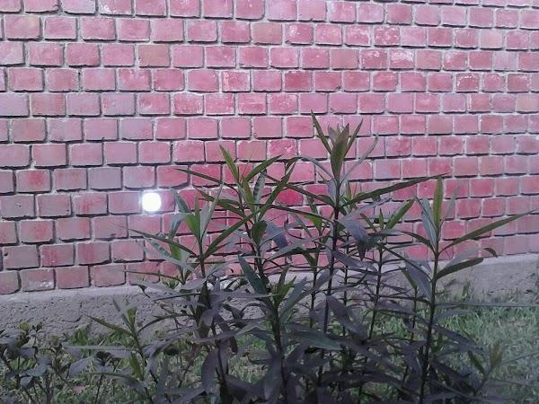 Imagen 20 La Cristalera foto