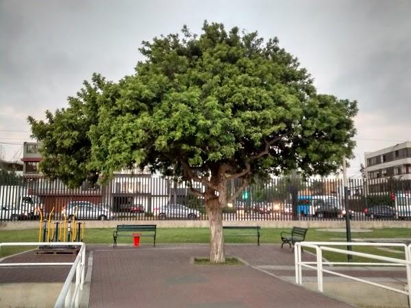 Imagen 36 Hotel Villa de Alcobendas foto