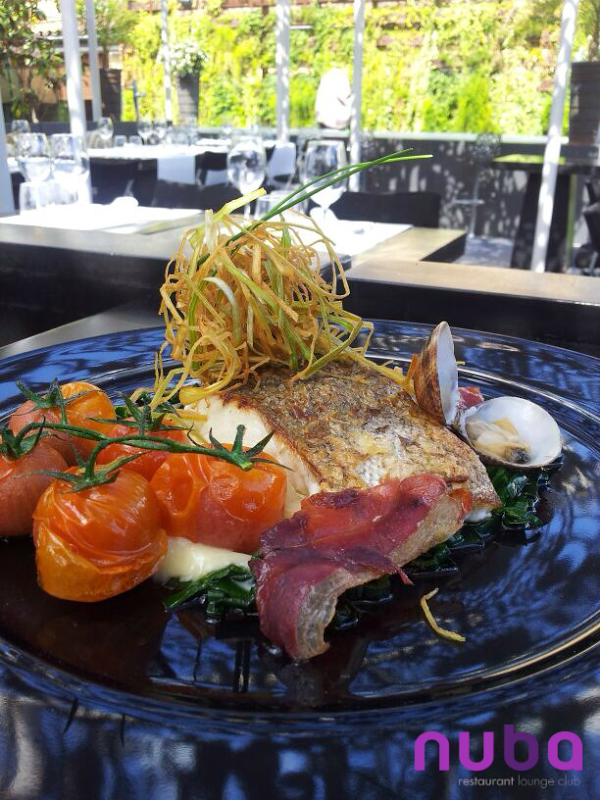 Imagen 241 Hostal Moyá foto