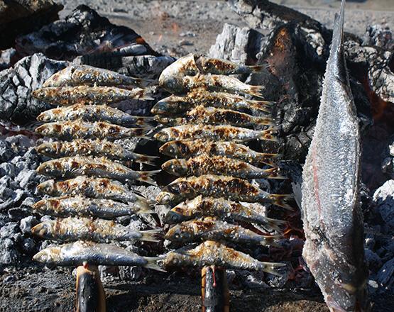 Imagen 18 RIZAAL, S.L. foto