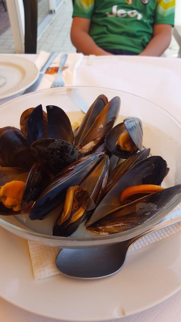 Imagen 59 RIZAAL, S.L. foto