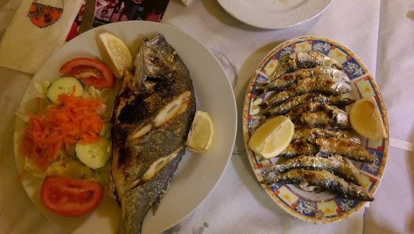 Imagen 65 RIZAAL, S.L. foto