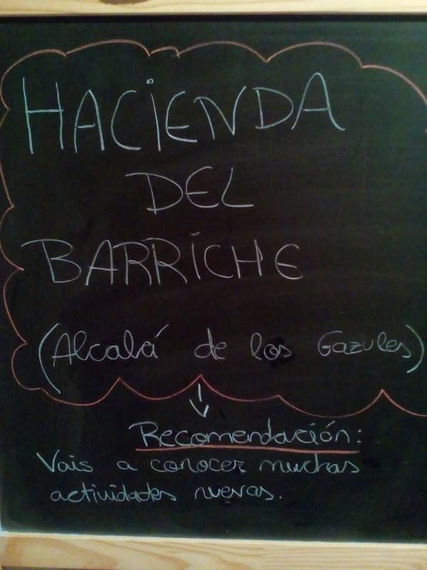 Imagen 64 Podonorte S.L. foto