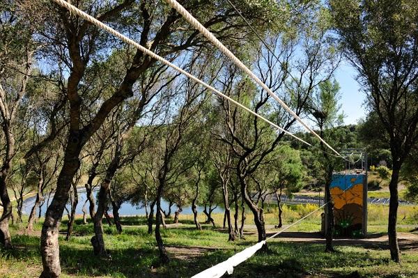 Imagen 85 Podonorte S.L. foto
