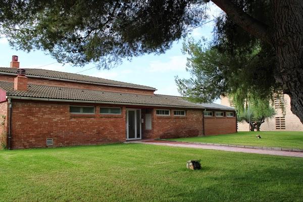 Imagen 18 Estadio Ramón Sánchez-Pizjuán foto