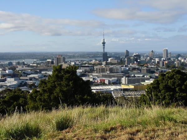 Imagen 9 Inmobiliaria Global Urma foto