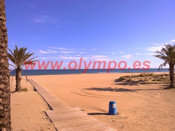 Imagen 101 Olympo. Venta y alquiler apartamentos Playa de Gandia foto