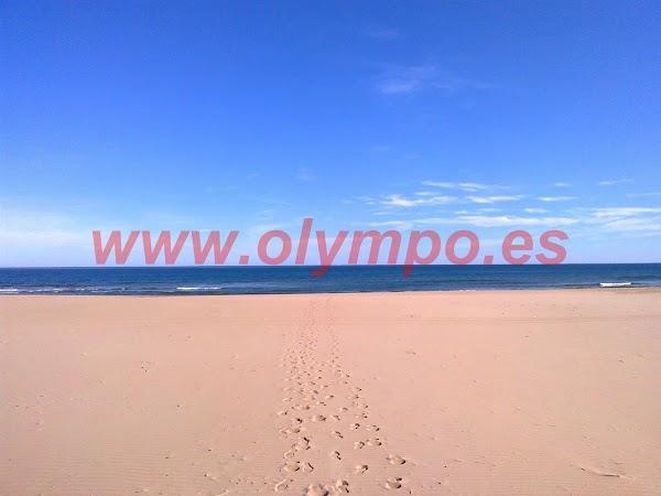 Imagen 103 Olympo. Venta y alquiler apartamentos Playa de Gandia foto
