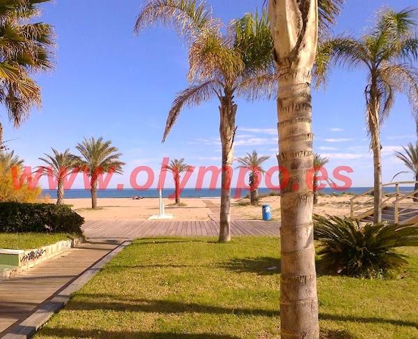 Imagen 134 Olympo. Venta y alquiler apartamentos Playa de Gandia foto