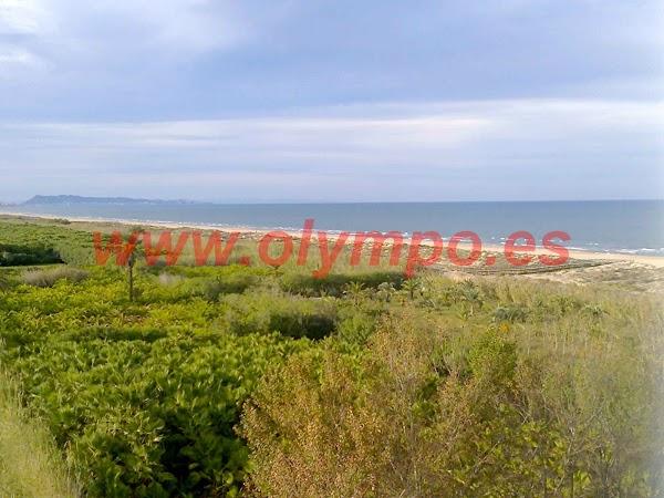 Imagen 141 Olympo. Venta y alquiler apartamentos Playa de Gandia foto