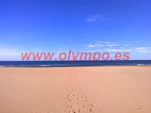 Imagen 206 Olympo. Venta y alquiler apartamentos Playa de Gandia foto
