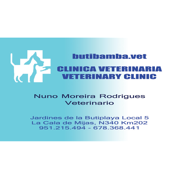 Imagen 31 Clinica Veterinaria butibamba.vet foto