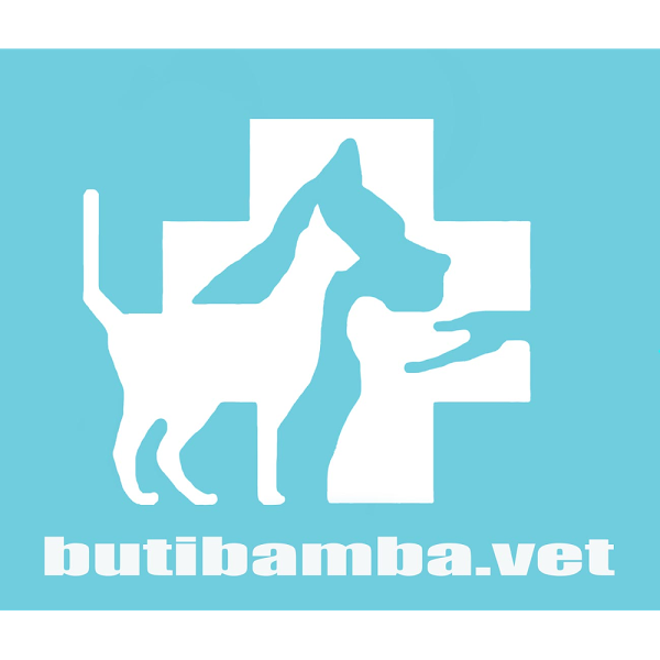 Imagen 33 Clinica Veterinaria butibamba.vet foto