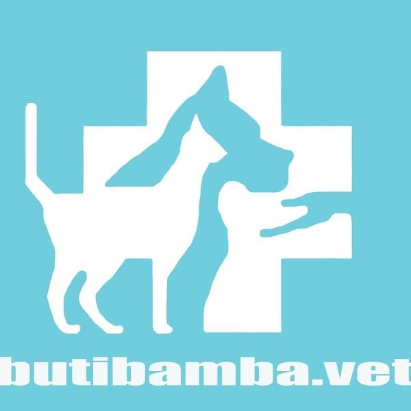 Imagen 35 Clinica Veterinaria butibamba.vet foto