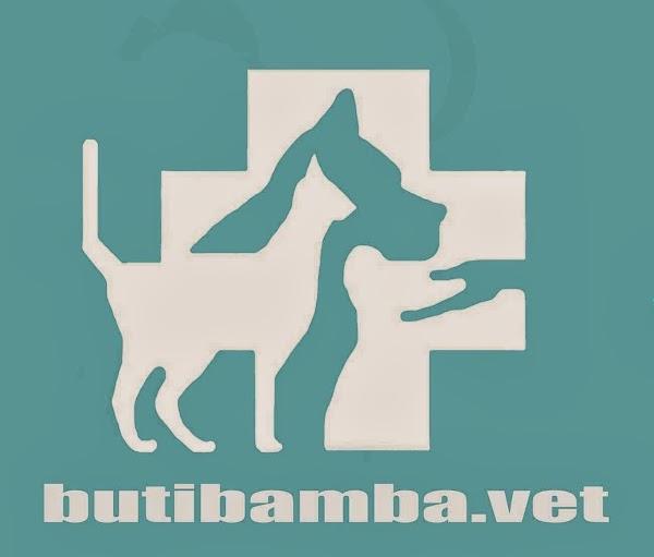 Imagen 37 Clinica Veterinaria butibamba.vet foto