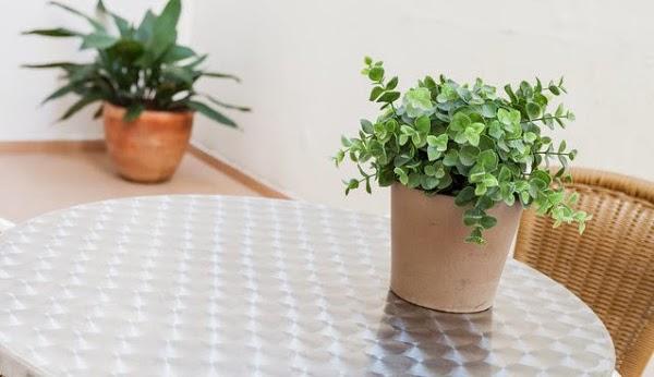 Imagen 15 Santuari de la Mare de Deu de la Salut foto