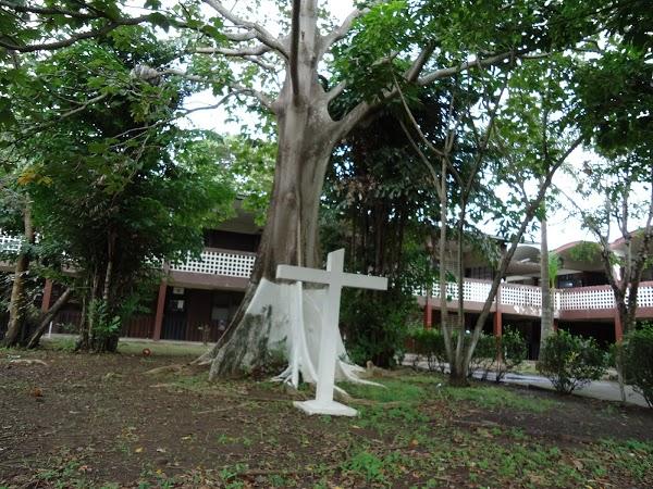 Imagen 119 Centro Municipal de Empresas San Fernando de Henares foto