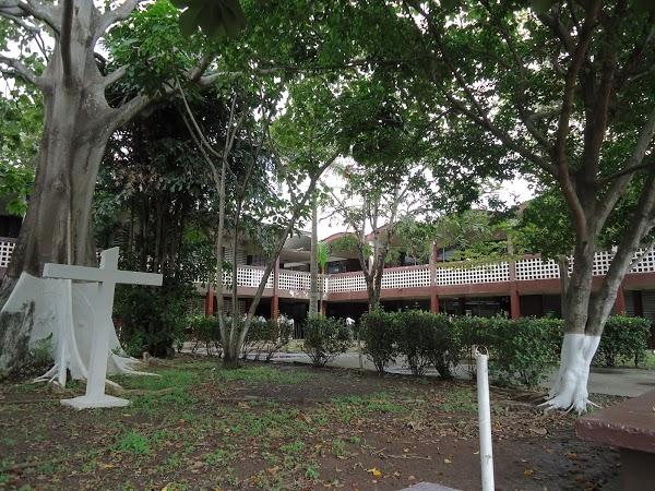 Imagen 31 Centro Municipal de Empresas San Fernando de Henares foto