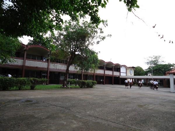 Imagen 44 Centro Municipal de Empresas San Fernando de Henares foto