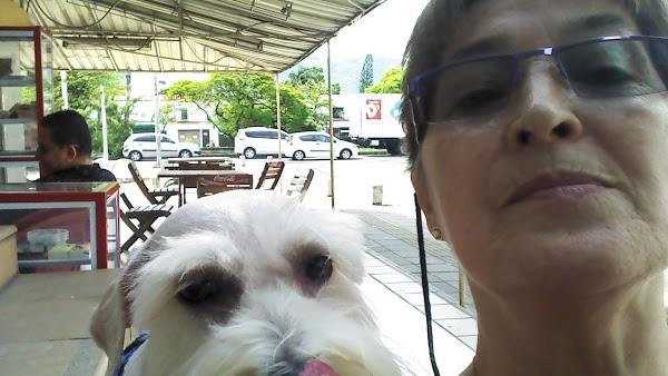 Imagen 37 Luis II Marisquería Restaurante foto