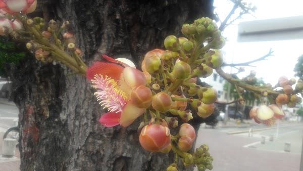 Imagen 50 Luis II Marisquería Restaurante foto