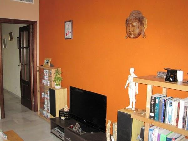 Imagen 27 Tecnigym Equipamiento integral de gimnasios foto