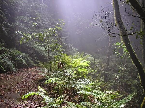 Imagen 31 ANBA Bed&Breakfast Deluxe foto