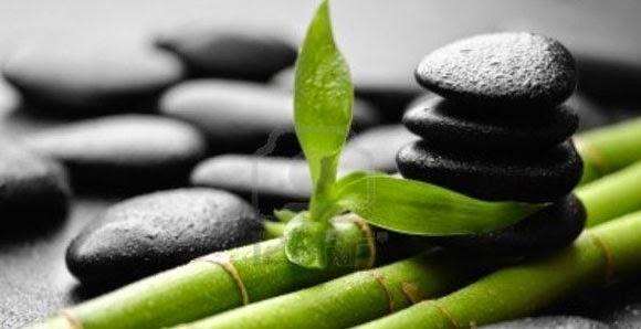 Imagen 33 ANBA Bed&Breakfast Deluxe foto