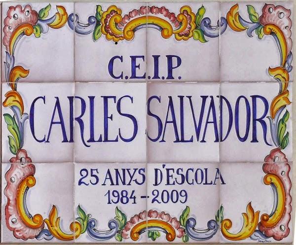Imagen 24 CEIP Carles Salvador foto