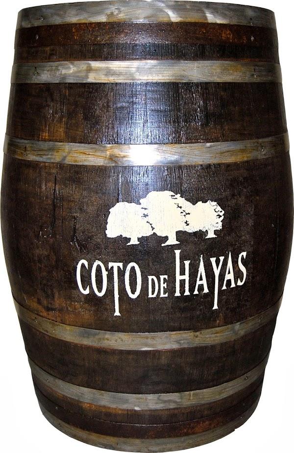 Imagen 1 Hostal Los Geranios del Pinar foto