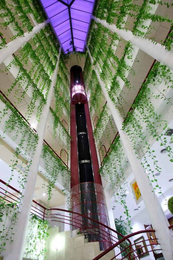 Imagen 6 Hostal Los Geranios del Pinar foto