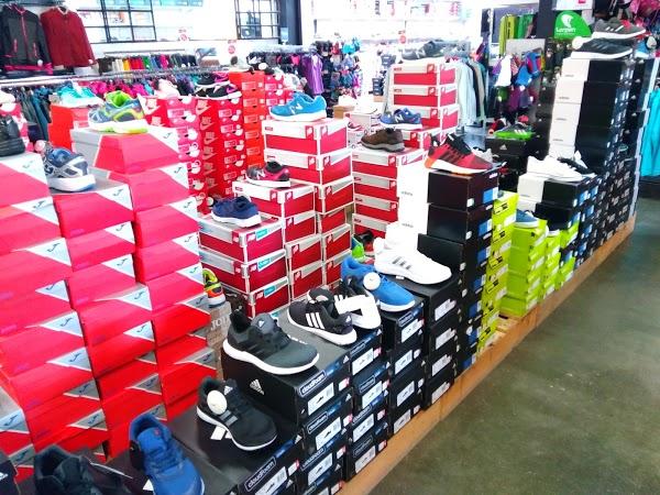 Imagen 38 La Peñata, S.L. foto