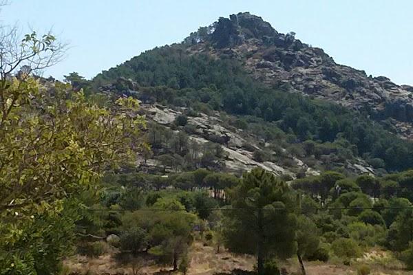 Imagen 13 Sunshine School foto