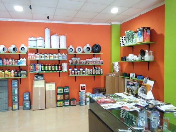 Imagen 4 CNL-Logopedia foto