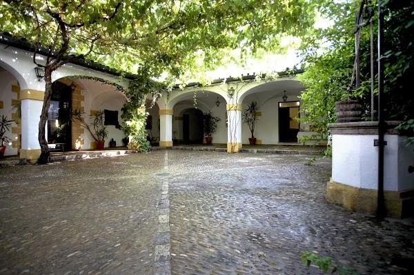 Imagen 8 Bodegas Tradicion S.l. foto