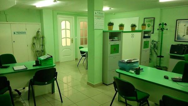 Imagen 5 Gimnasio Lee foto